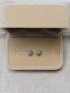 Piercing Star