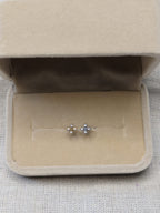 Piercing Trevo