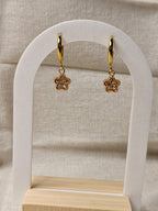 Brinco Argola com Estrela